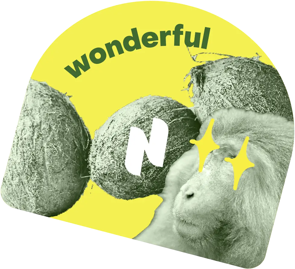 nobo-wonderful-coconut-budge