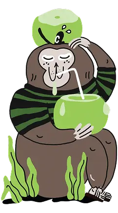 nobo_coconut_monkey_drinking