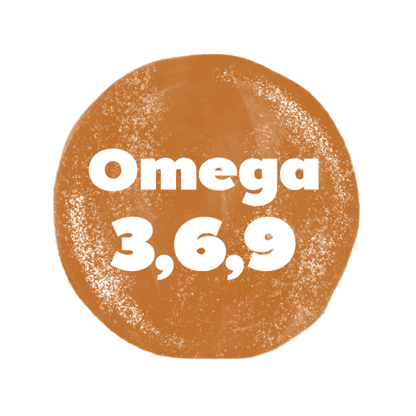 nobo-soy-omega-3-6-9